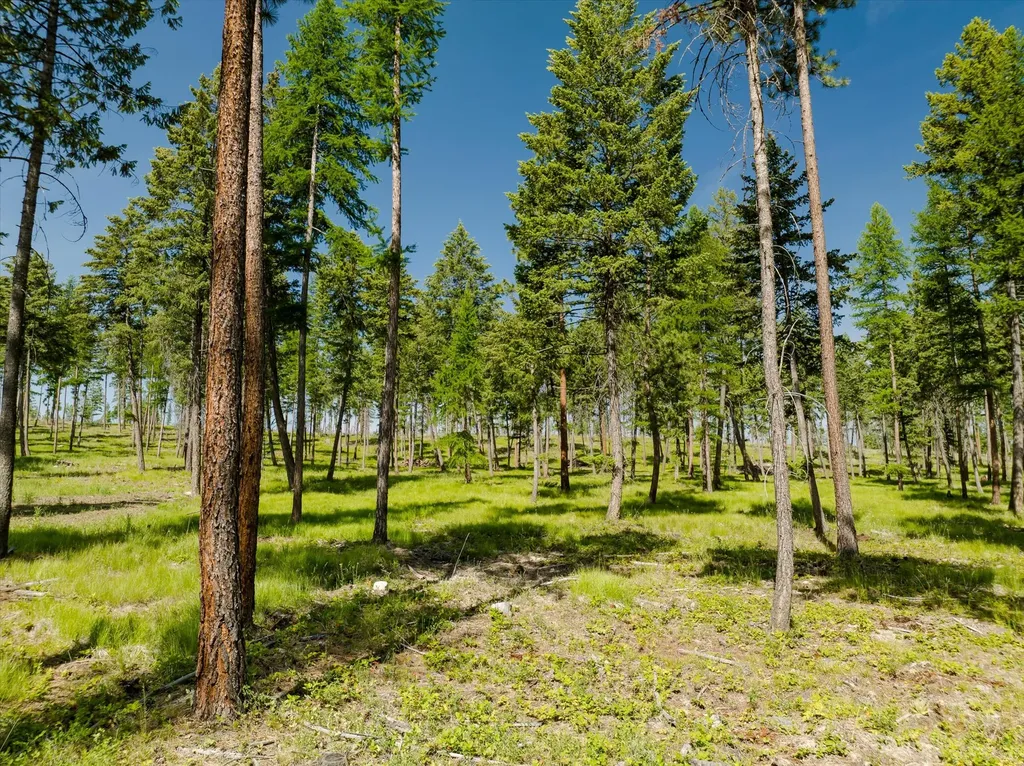 523 Northern Larch Trail Kalispell MT 59901