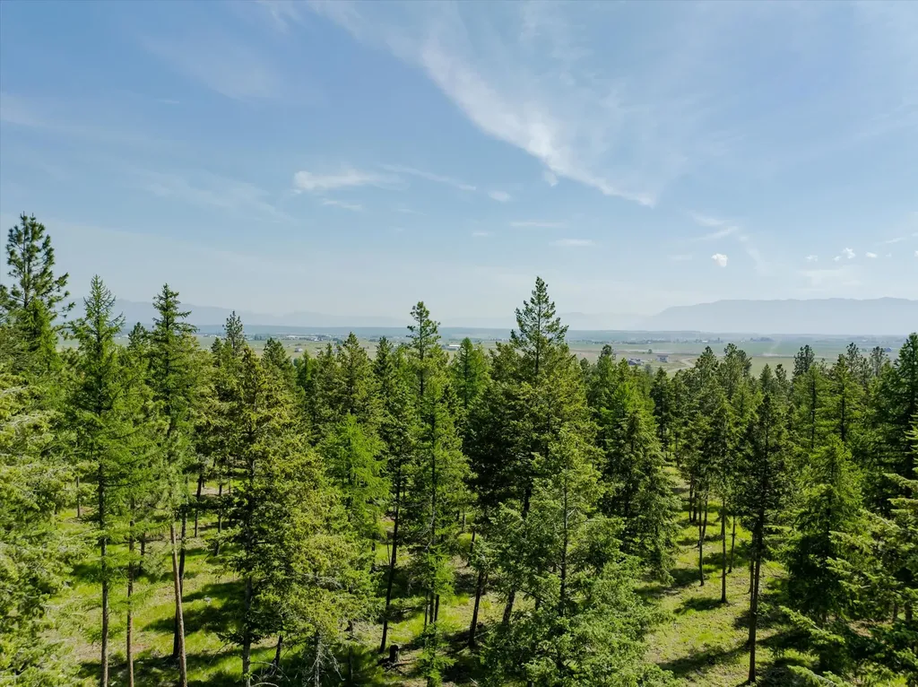 523 Northern Larch Trail Kalispell MT 59901