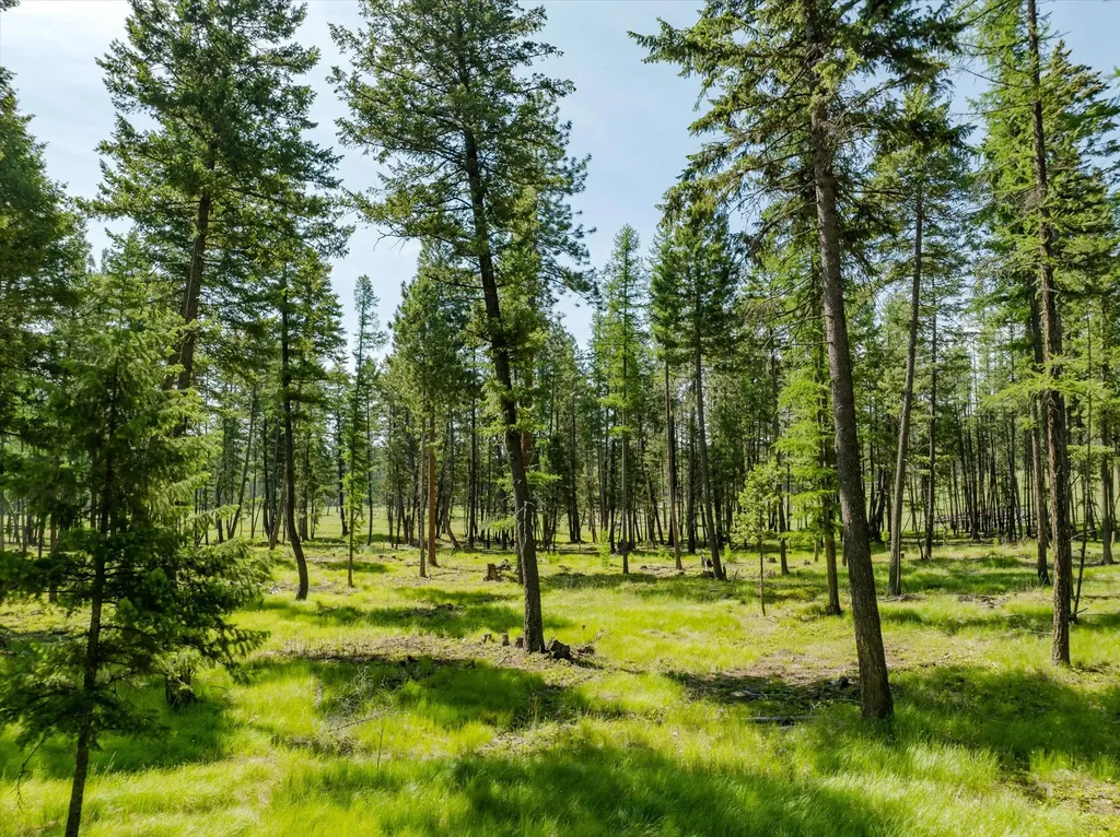 523 Northern Larch Trail Kalispell MT 59901