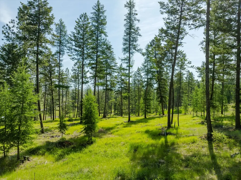 523 Northern Larch Trail Kalispell MT 59901