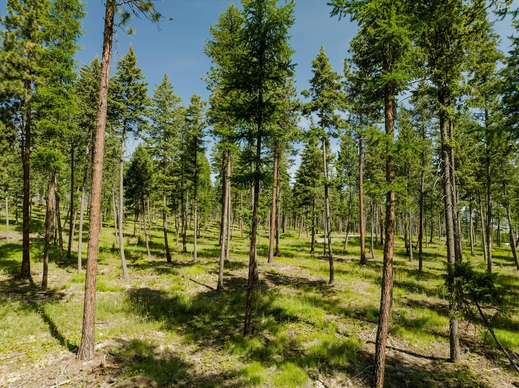 523 Northern Larch Trail Kalispell MT 59901