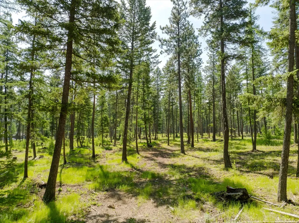 523 Northern Larch Trail Kalispell MT 59901