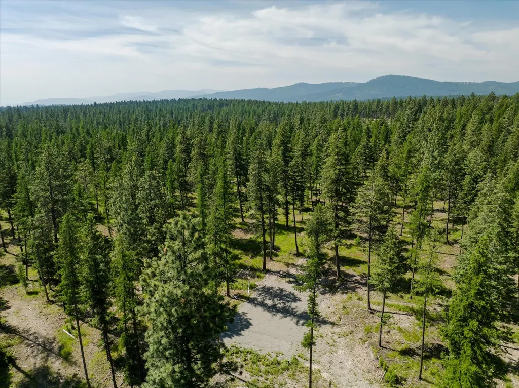523 Northern Larch Trail Kalispell MT 59901