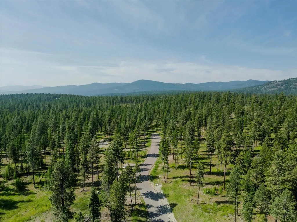518 Northern Larch Trail Kalispell MT 59901