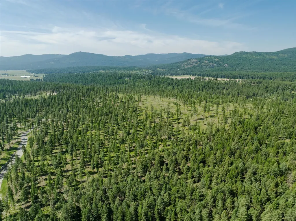 518 Northern Larch Trail Kalispell MT 59901