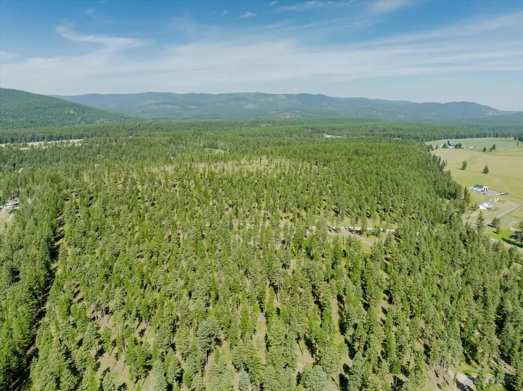 518 Northern Larch Trail Kalispell MT 59901