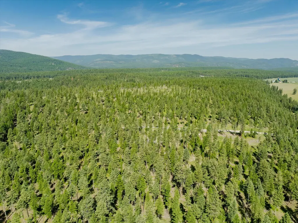518 Northern Larch Trail Kalispell MT 59901
