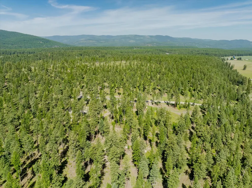 518 Northern Larch Trail Kalispell MT 59901