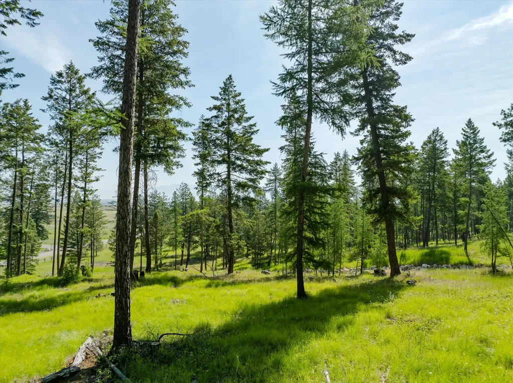 518 Northern Larch Trail Kalispell MT 59901