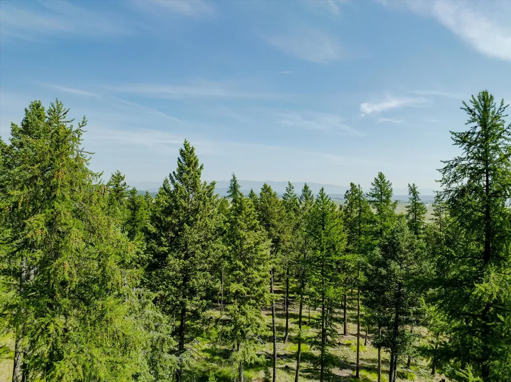 518 Northern Larch Trail Kalispell MT 59901