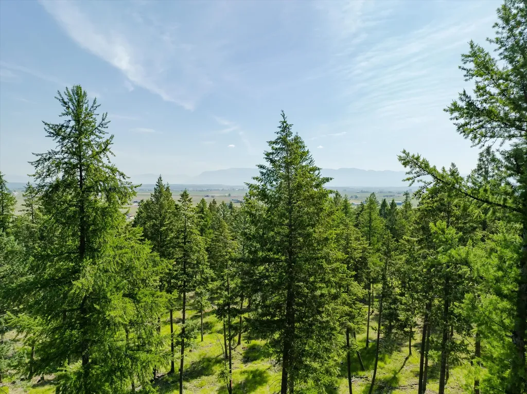 518 Northern Larch Trail Kalispell MT 59901