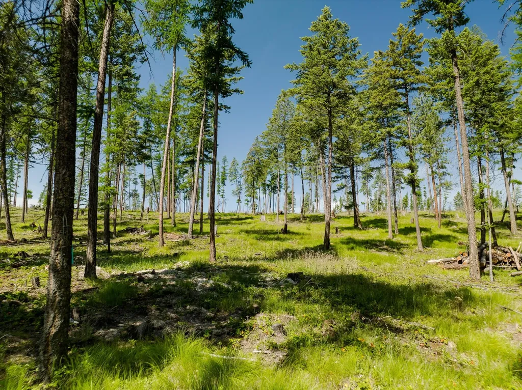 518 Northern Larch Trail Kalispell MT 59901
