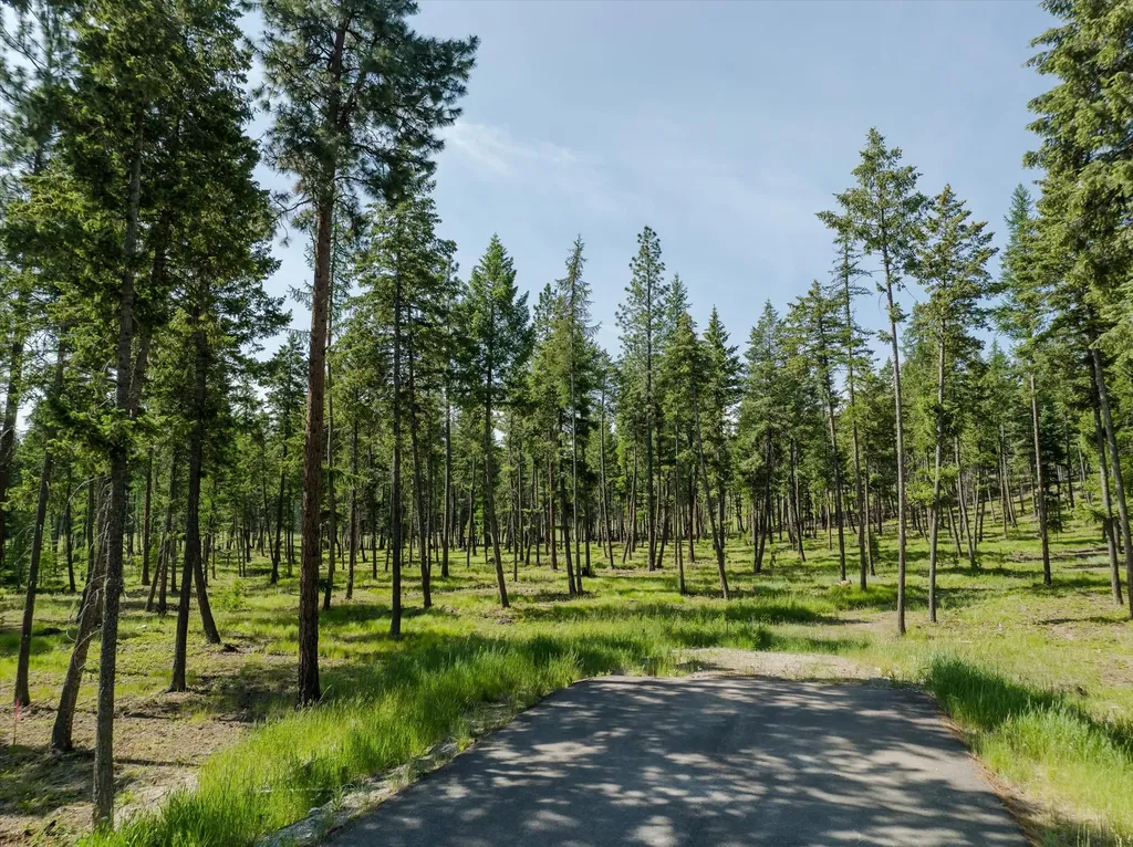 518 Northern Larch Trail Kalispell MT 59901