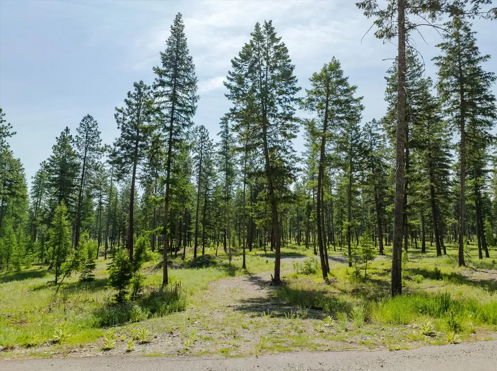 518 Northern Larch Trail Kalispell MT 59901