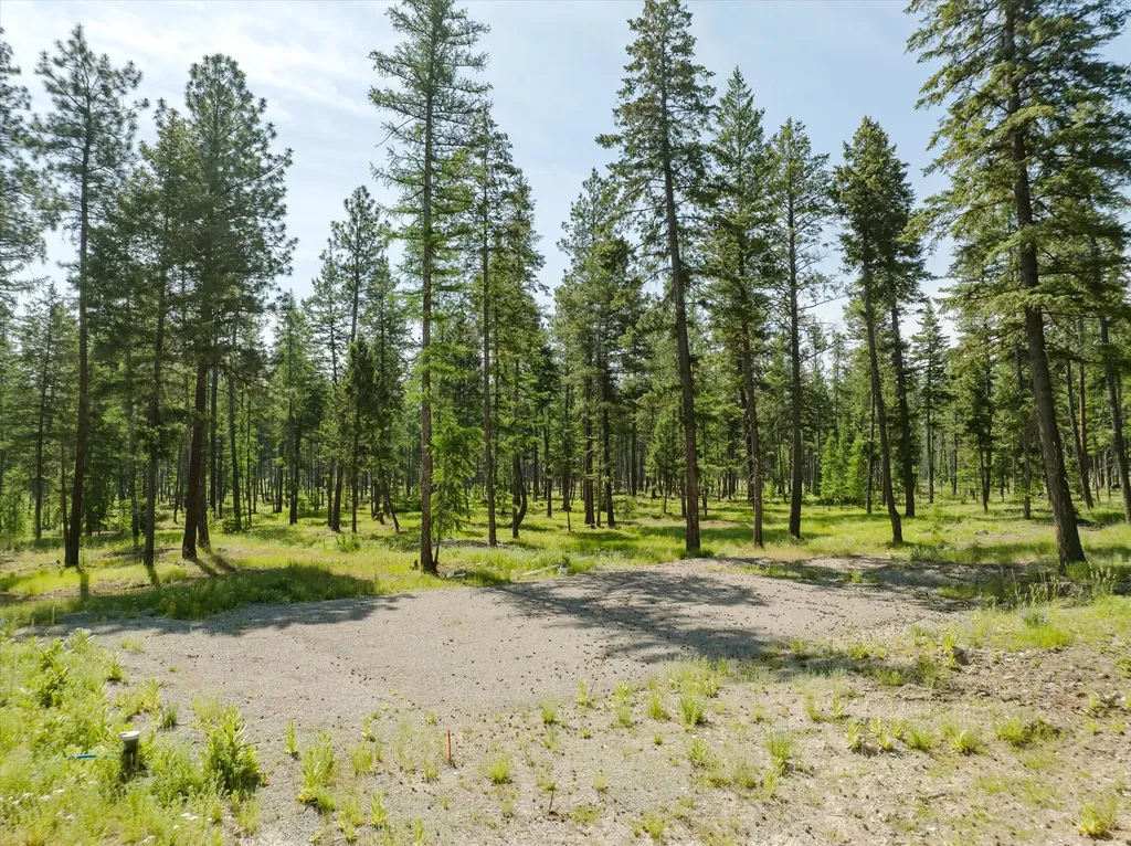 518 Northern Larch Trail Kalispell MT 59901