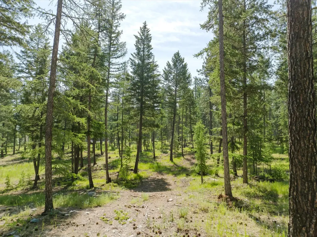 518 Northern Larch Trail Kalispell MT 59901
