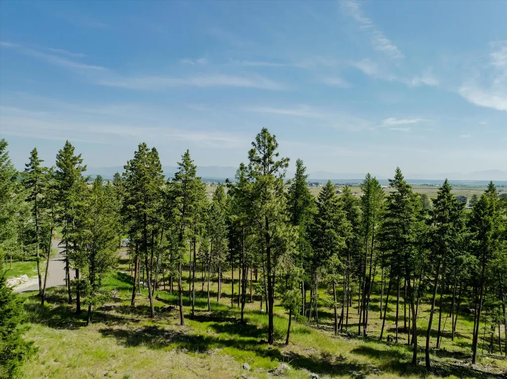 518 Northern Larch Trail Kalispell MT 59901