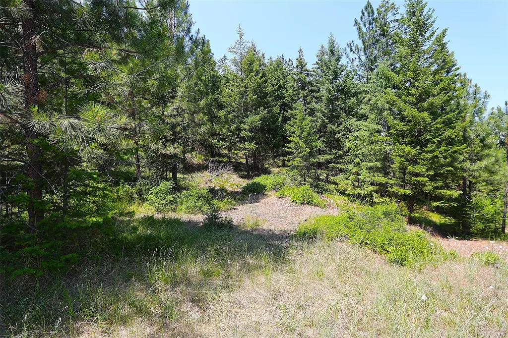 Nhn Heir Loom Way Plains MT 59859