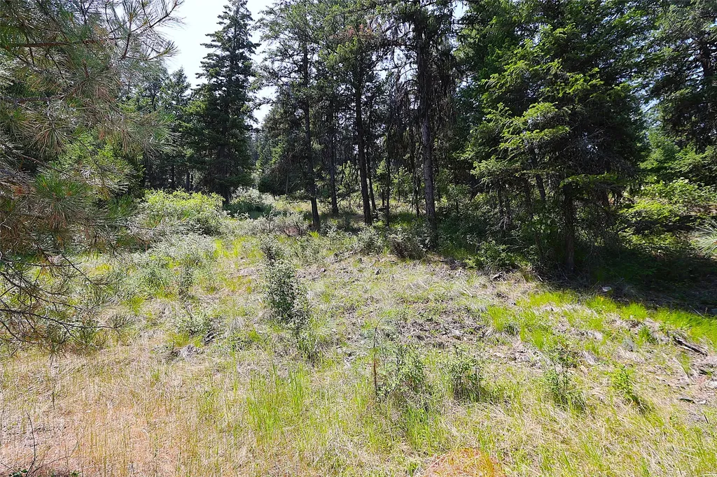 Nhn Heir Loom Way Plains MT 59859
