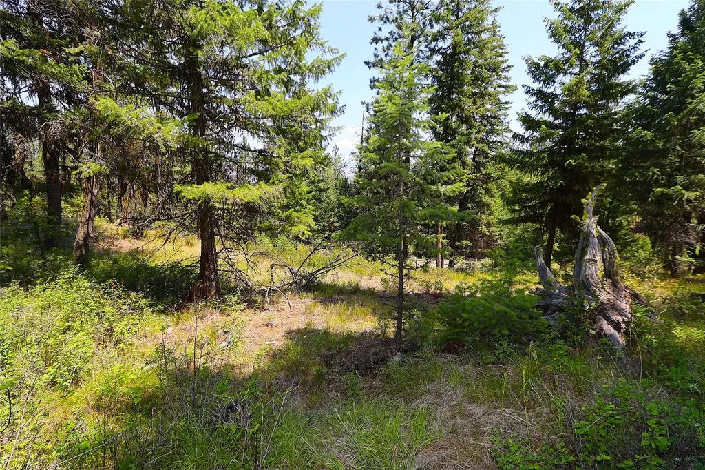 Nhn Heir Loom Way Plains MT 59859