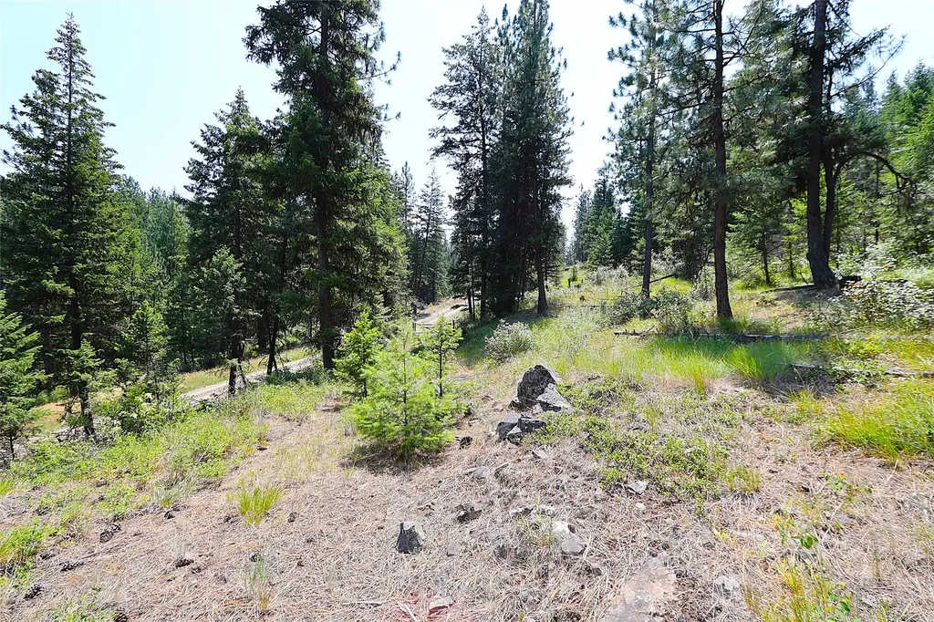 Nhn Heir Loom Way Plains MT 59859