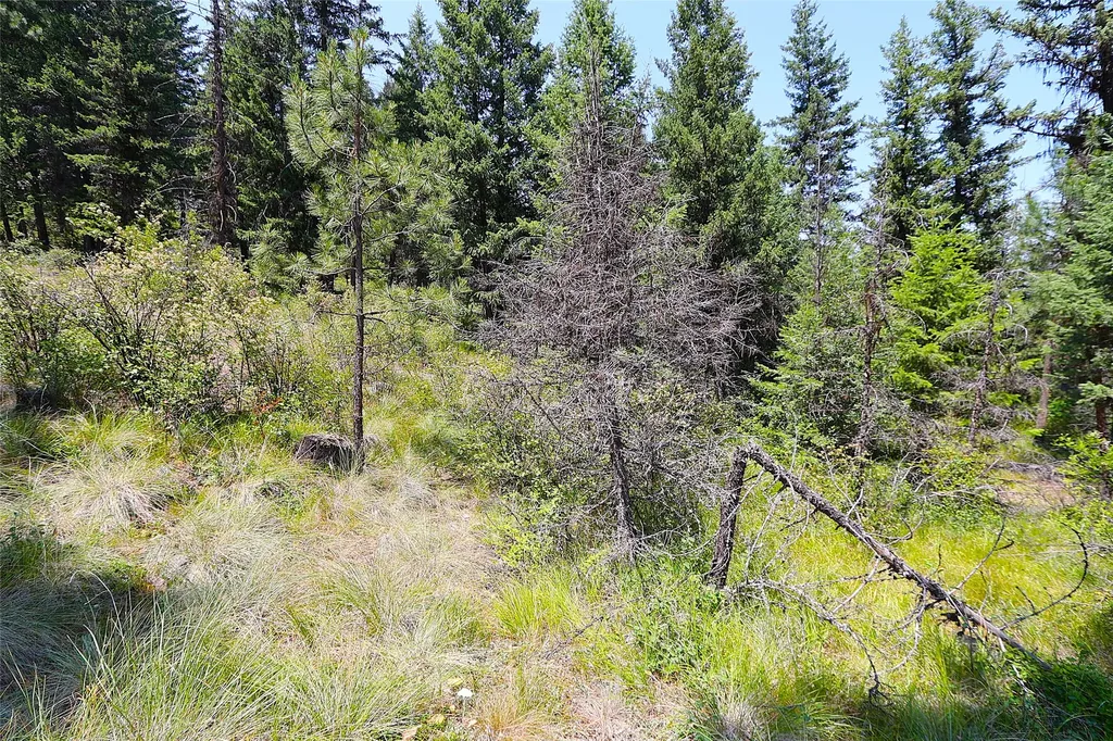 Nhn Heir Loom Way Plains MT 59859