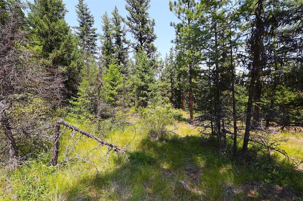 Nhn Heir Loom Way Plains MT 59859
