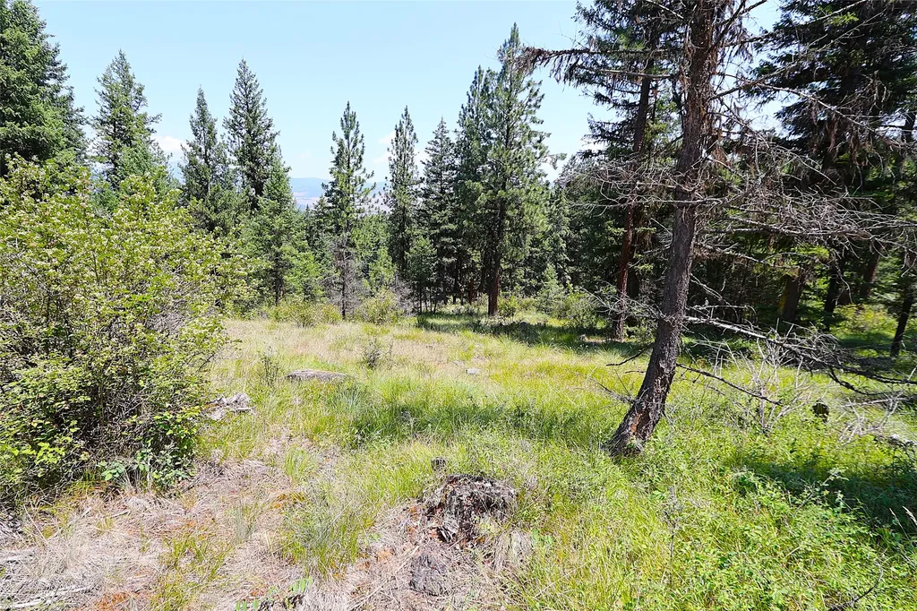 Nhn Heir Loom Way Plains MT 59859