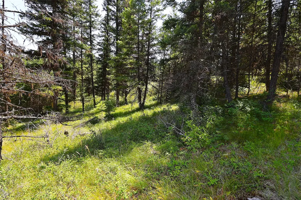 Nhn Heir Loom Way Plains MT 59859