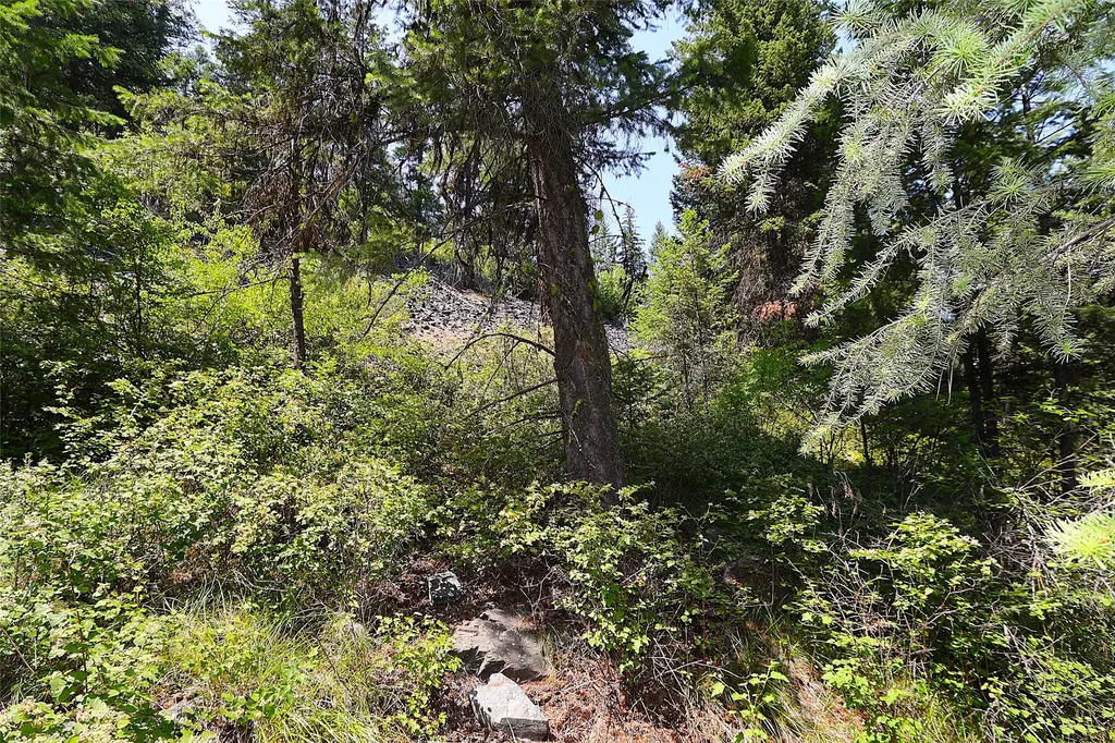 Nhn Heir Loom Way Plains MT 59859
