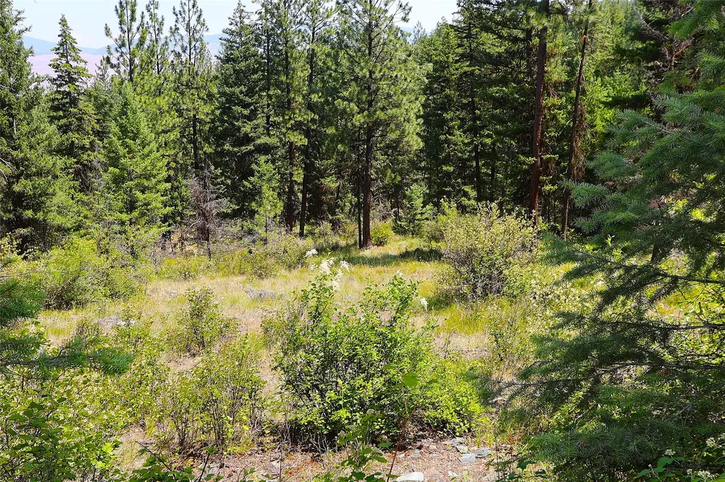 Nhn Heir Loom Way Plains MT 59859
