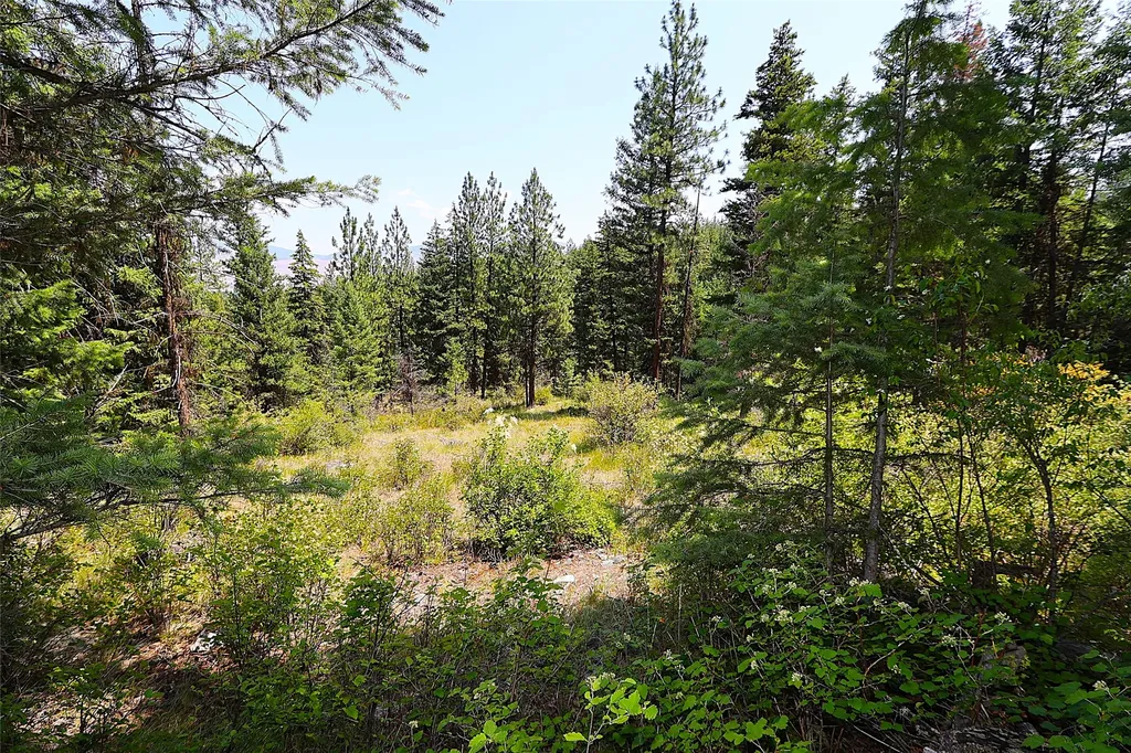 Nhn Heir Loom Way Plains MT 59859