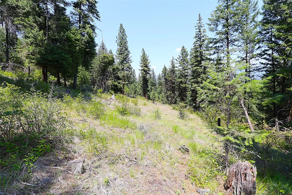 Nhn Heir Loom Way Plains MT 59859