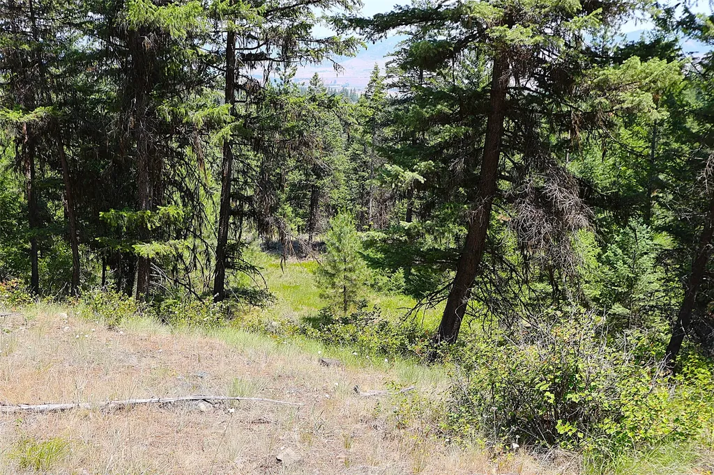 Nhn Heir Loom Way Plains MT 59859