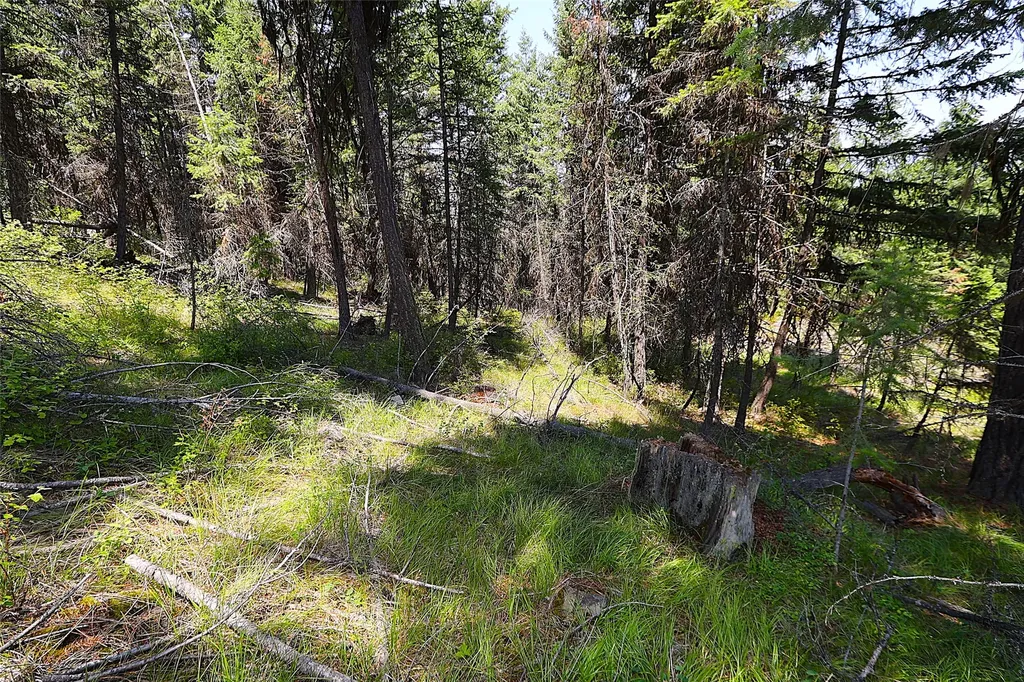Nhn Heir Loom Way Plains MT 59859