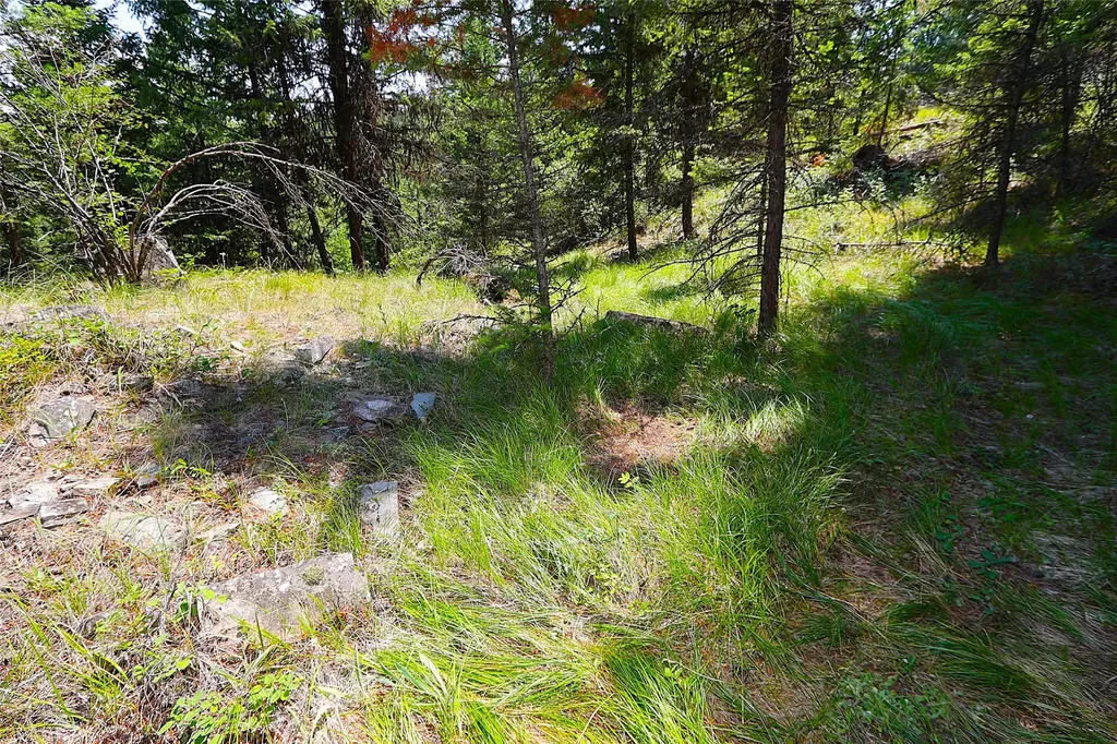 Nhn Heir Loom Way Plains MT 59859