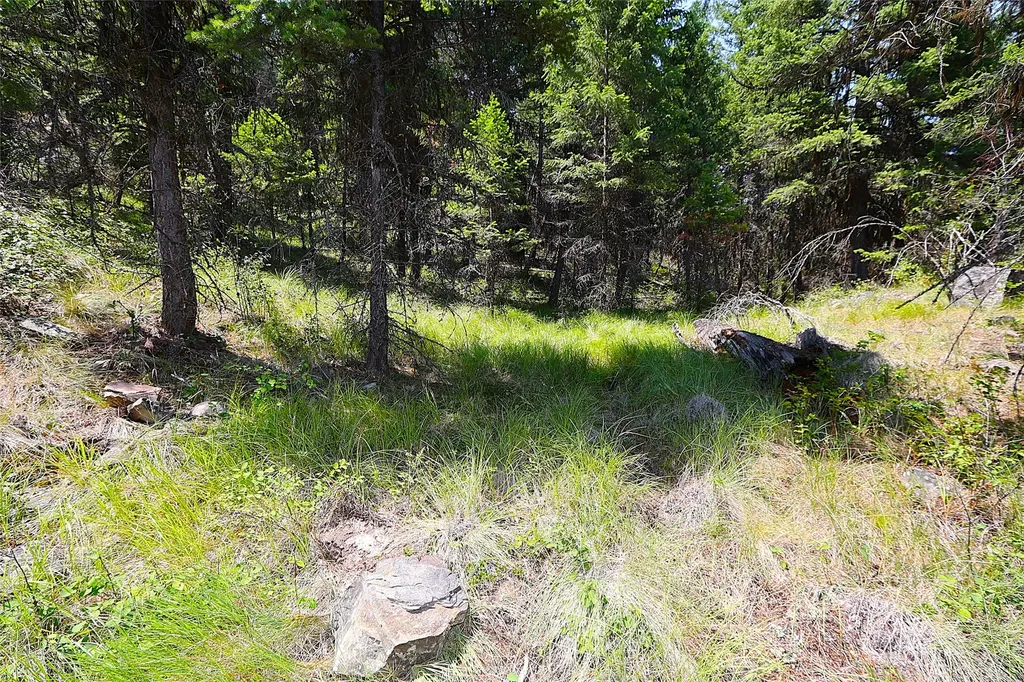 Nhn Heir Loom Way Plains MT 59859