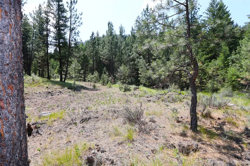 Nhn Heir Loom Way Plains MT 59859