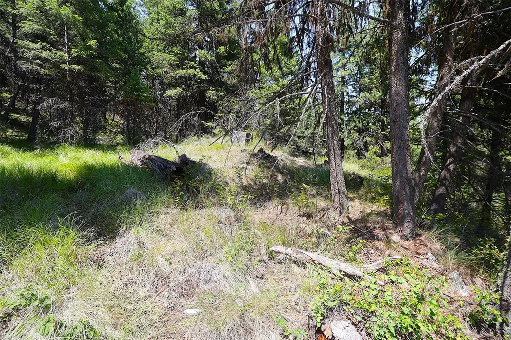 Nhn Heir Loom Way Plains MT 59859
