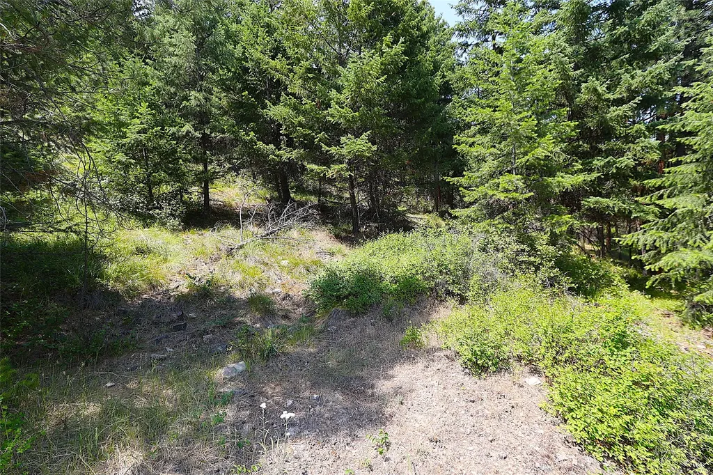 Nhn Heir Loom Way Plains MT 59859