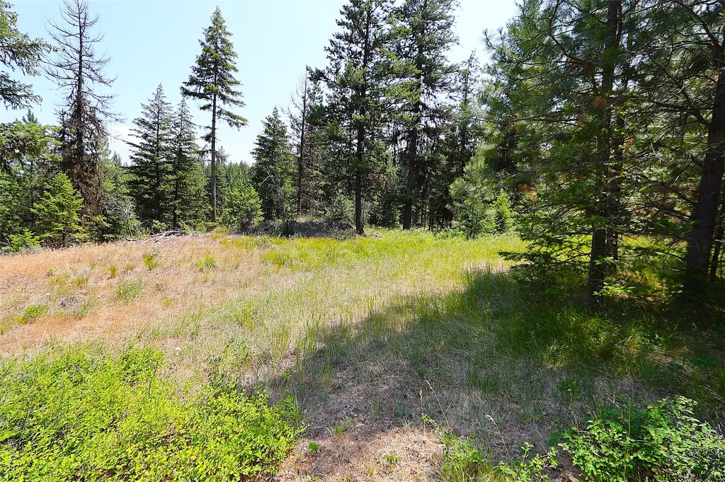 Nhn Heir Loom Way Plains MT 59859