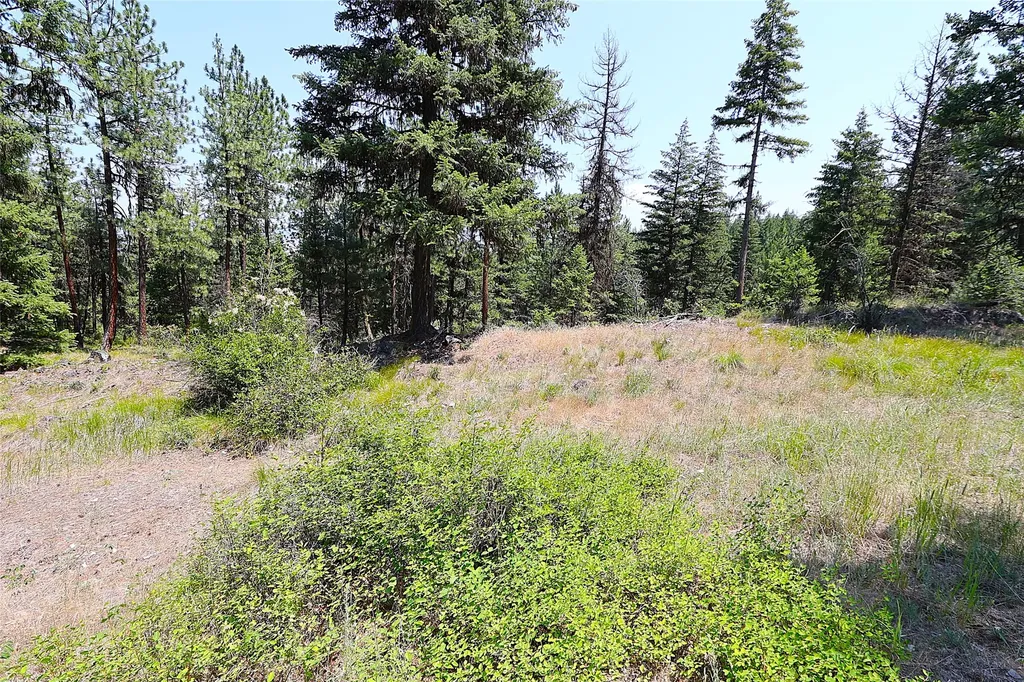 Nhn Heir Loom Way Plains MT 59859