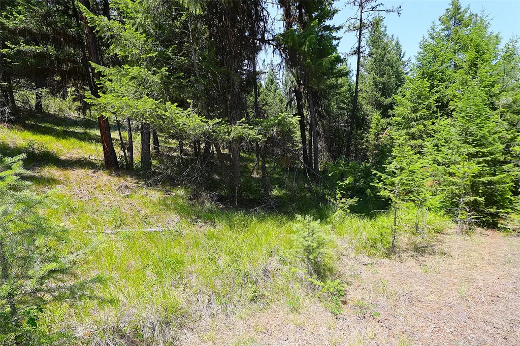 Nhn Heir Loom Way Plains MT 59859