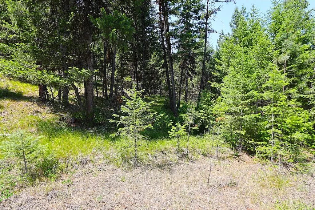 Nhn Heir Loom Way Plains MT 59859