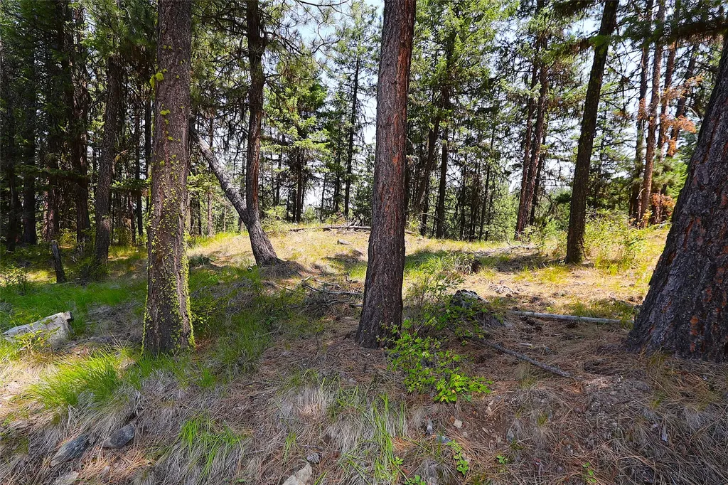 Nhn Heir Loom Way Plains MT 59859