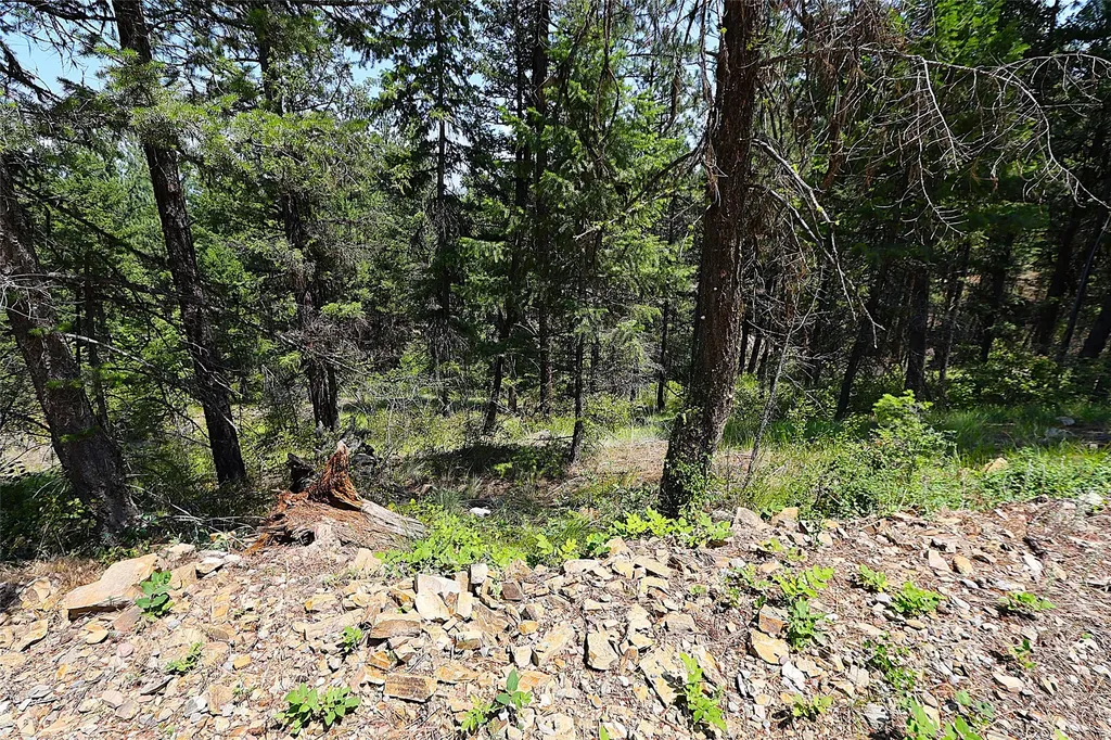 Nhn Heir Loom Way Plains MT 59859