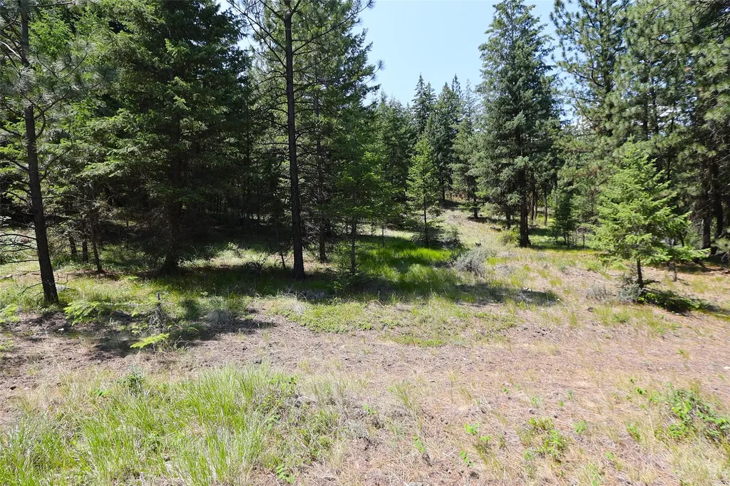 Nhn Heir Loom Way Plains MT 59859