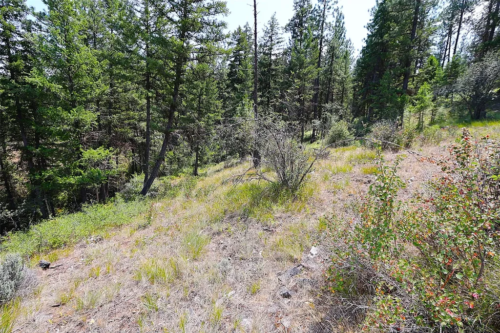 Nhn Heir Loom Way Plains MT 59859