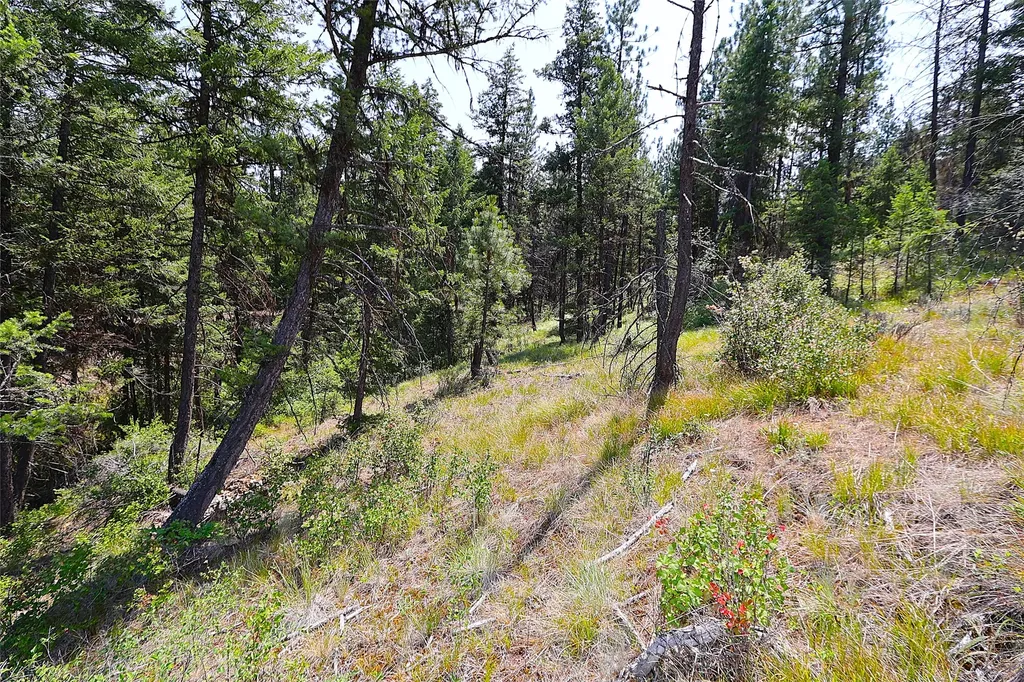 Nhn Heir Loom Way Plains MT 59859