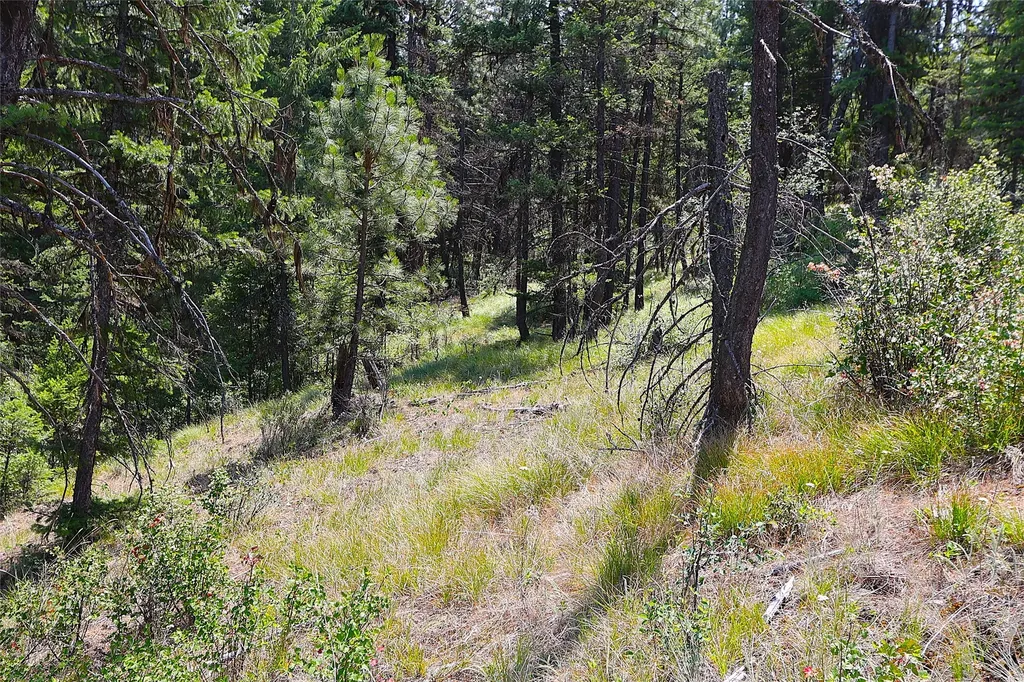 Nhn Heir Loom Way Plains MT 59859